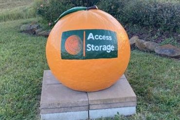 Storage Image 1
