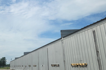 Storage Image 6