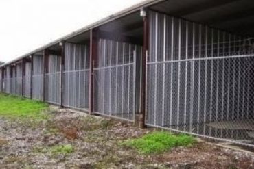 Storage Image 7